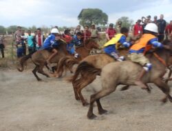 Pemkab Kupang selenggarakan lomba pacuan kuda 2015