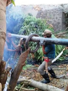 Bersama Menjemput Kedaulatan Petani Nagkeo