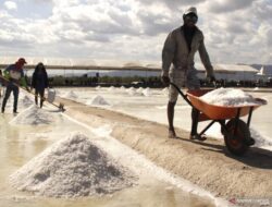 Ribuan Ton Garam di Sabu Raijua Belum Terjual, Petani Kecewa Pemerintah Pilih Impor