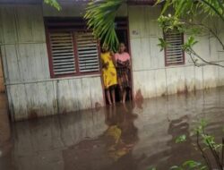 2 Hari Guyur Hujan, Ratusan Rumah Warga di Sikka Terendam Banjir