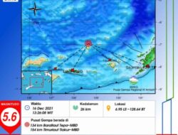 Maluku Barat Daya Diguncang Gempa 5,6 Magnitudo