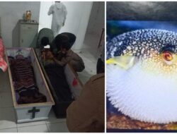 Kronologi Pasutri di Lembata Tewas Usai Makan Ikan Buntal