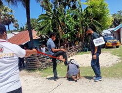 Kasus Pengeroyokan Oleh Kepala Desa Mukekuku, Polres Rote Ndao Gelar Rekonstruksi