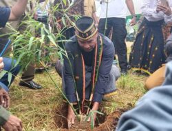Presiden Jokowi Berencana Bangun Pabrik Bambu di Ngada