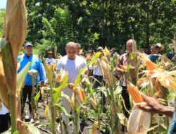 20 Desember 2022 NTT berusia 64 Tahun