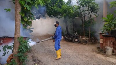 Cegah Perkembangan Nyamuk DBD di Daerah Endemis, Dinkes Kota Kupang Lakukan Fogging