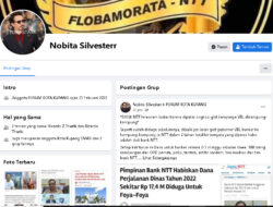 Nobita Silvesterr: Bank NTT Terancam Bubar?