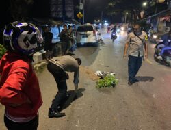 Kecelakaan Maut di NBD Kota Kupang, Anggota Polisi Tewas di Tempat