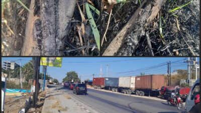 Lampu Jalan di Timor Raya Mati Imbas Kabel Bawah Tanah Terbakar, DPRD Kota Kupang Sebut Pemkot Kurang Pengawasan