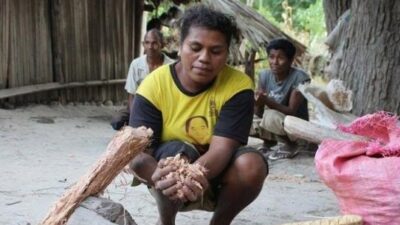 Warga di Kabupaten Timor Tengah Selatan sedang memegang putak (Foto: Kompas.com)