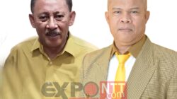PT. Flobamora, Sudah Tiga Bulan Tidak Bayar Gaji Karyawan, Pengurusnya Sudah Habis