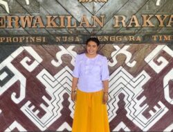 Pengalaman Elektoral Cawagub Jadi Faktor Penting di Pilgub NTT 2024