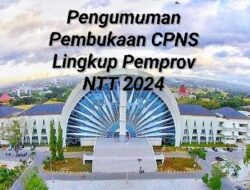 Pemprov NTT Buka Penerimaan CPNS 2.571 Formasi, Pendaftaran 20 Agustus 2024