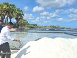 Cerita Marthen Dira Tome dan Simon Petrus Kamlasi di Sabu Raijua