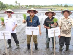 Penjabat Gubernur NTT Sebut Nagekeo Punya Potensi Jadi Lumbung Pangan Nasional