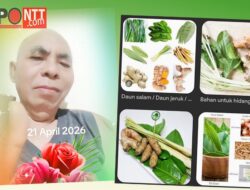 Resep Sehat Jiwa dan Ragaku Menggunakan Herbal