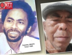 KESEHATAN harta Terindah dan termahal di dunia